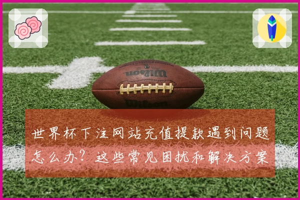世界杯下注网站充值提款遇到问题怎么办？这些常见困扰和解决方案你知道吗