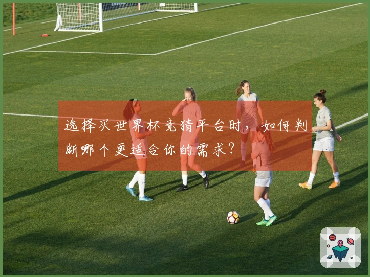 选择买世界杯竞猜平台时，如何判断哪个更适合你的需求？