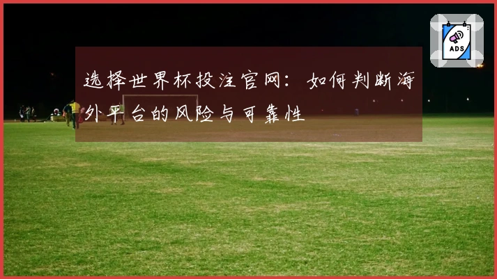 选择世界杯投注官网：如何判断海外平台的风险与可靠性