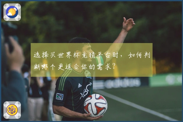 选择买世界杯竞猜平台时，如何判断哪个更适合你的需求？
