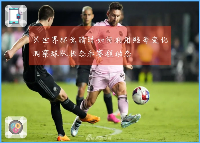 买世界杯竞猜时如何利用赔率变化洞察球队状态和赛程动态