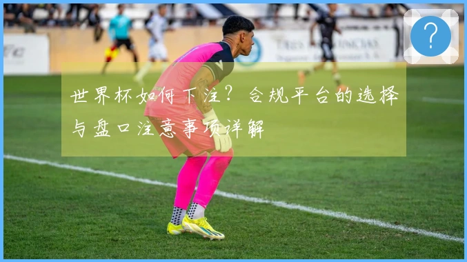 世界杯如何下注？合规平台的选择与盘口注意事项详解
